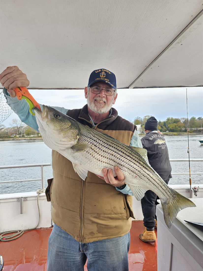 Striped bass caught aboard